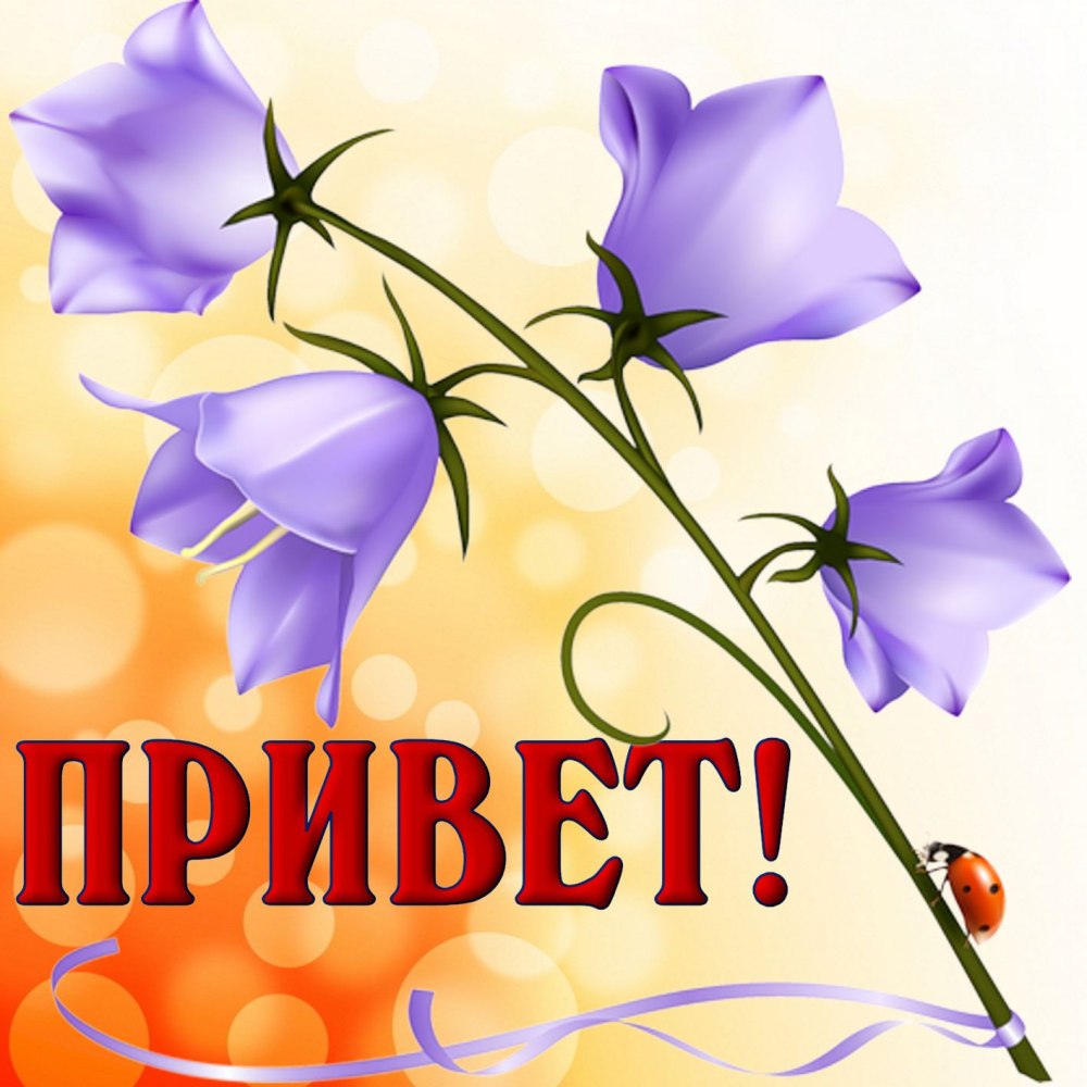 Надпись с акварельнмицветами