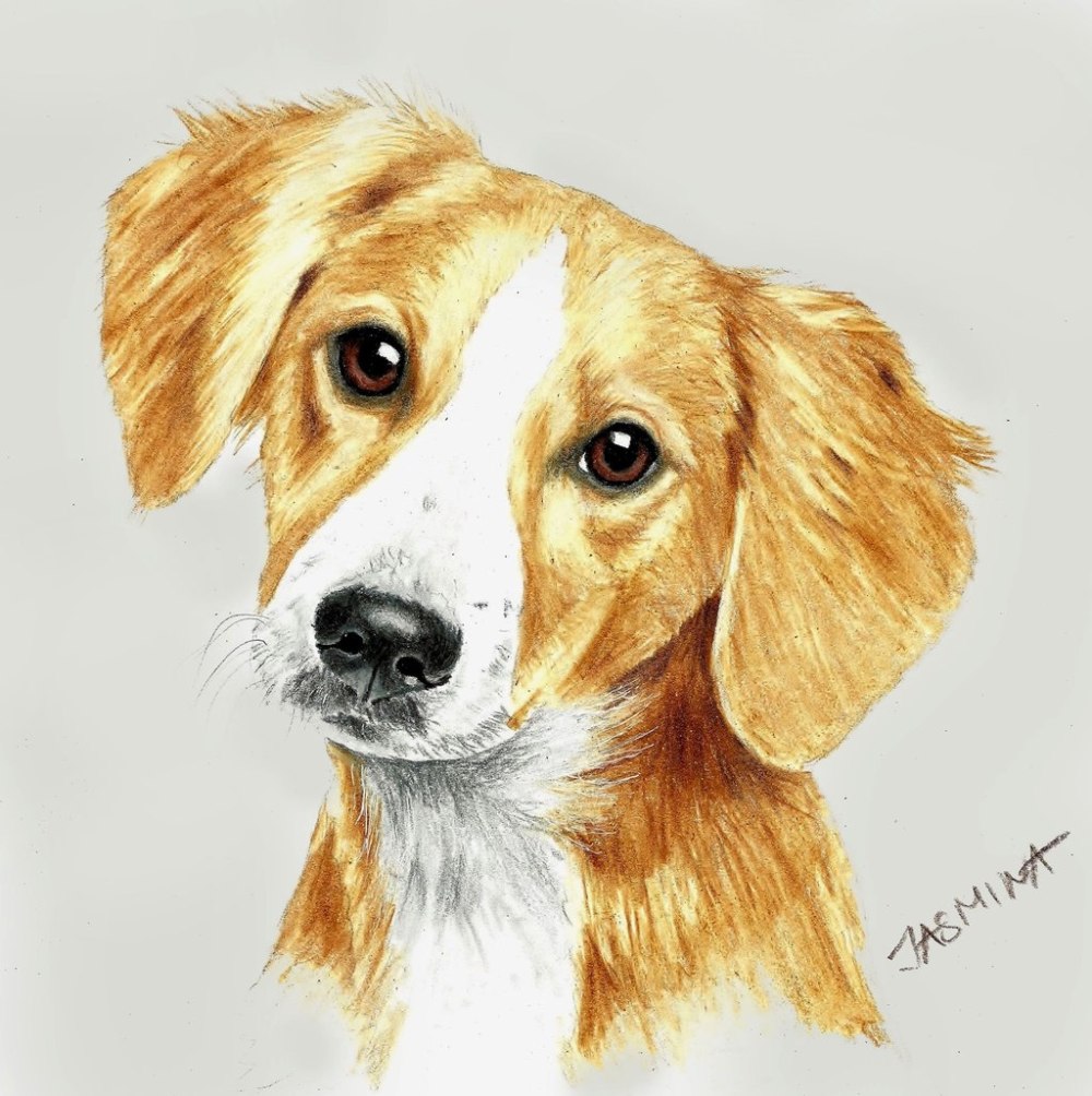 Kelly Lahar художник
