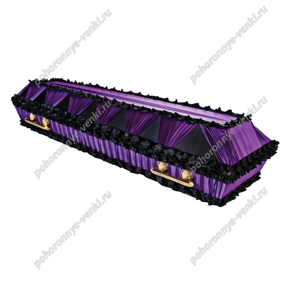 Набор Monster High Дракулаура с питомцем и ванная комната, 27 см, x4496