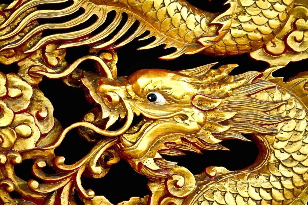 Golden Dragon дракон