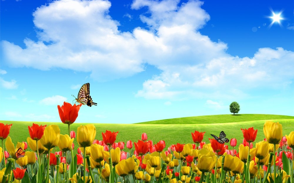 Фон природа