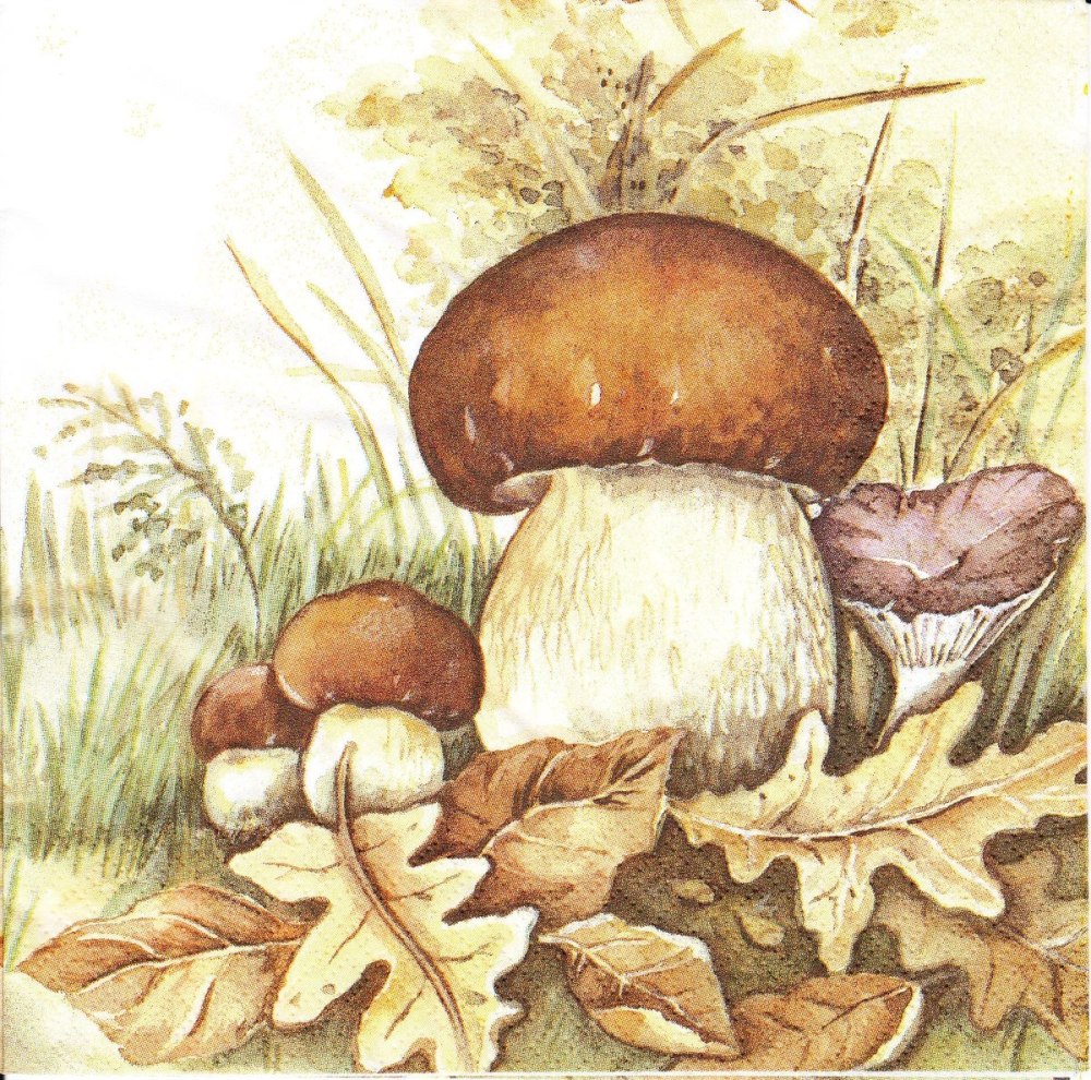 Корзина с грибами