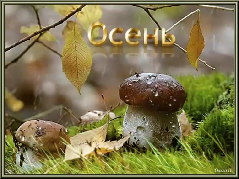 Осень в горах