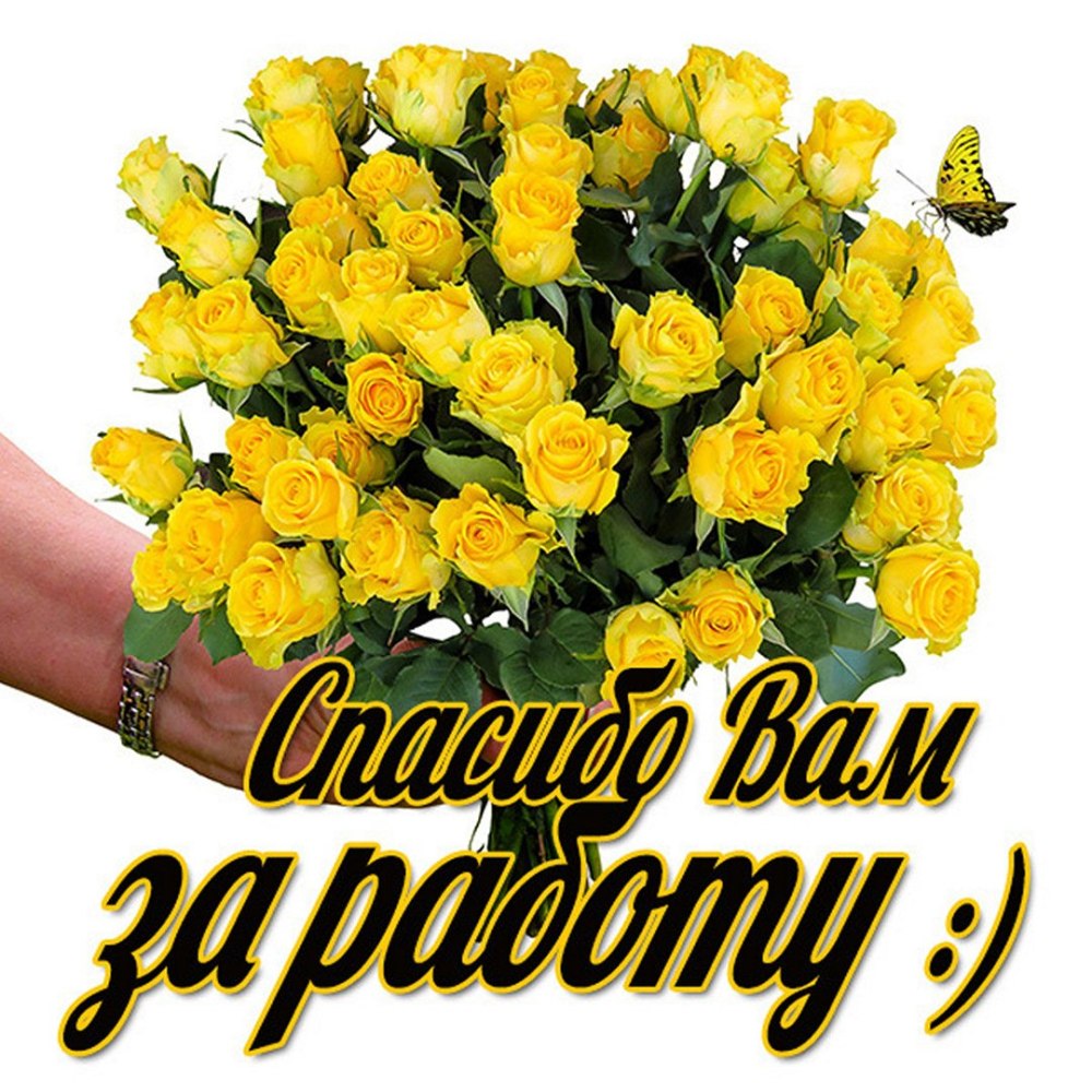 Спасибо за поздравления