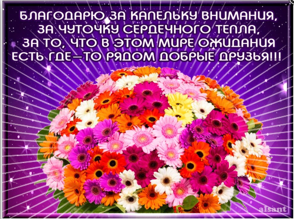 Благодарю от всей души