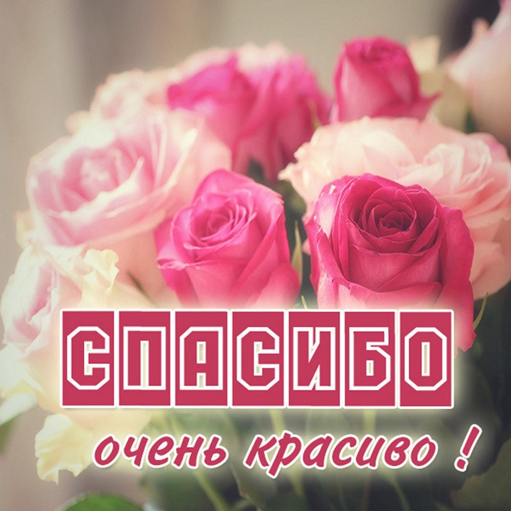 Спасибоза поздравленич