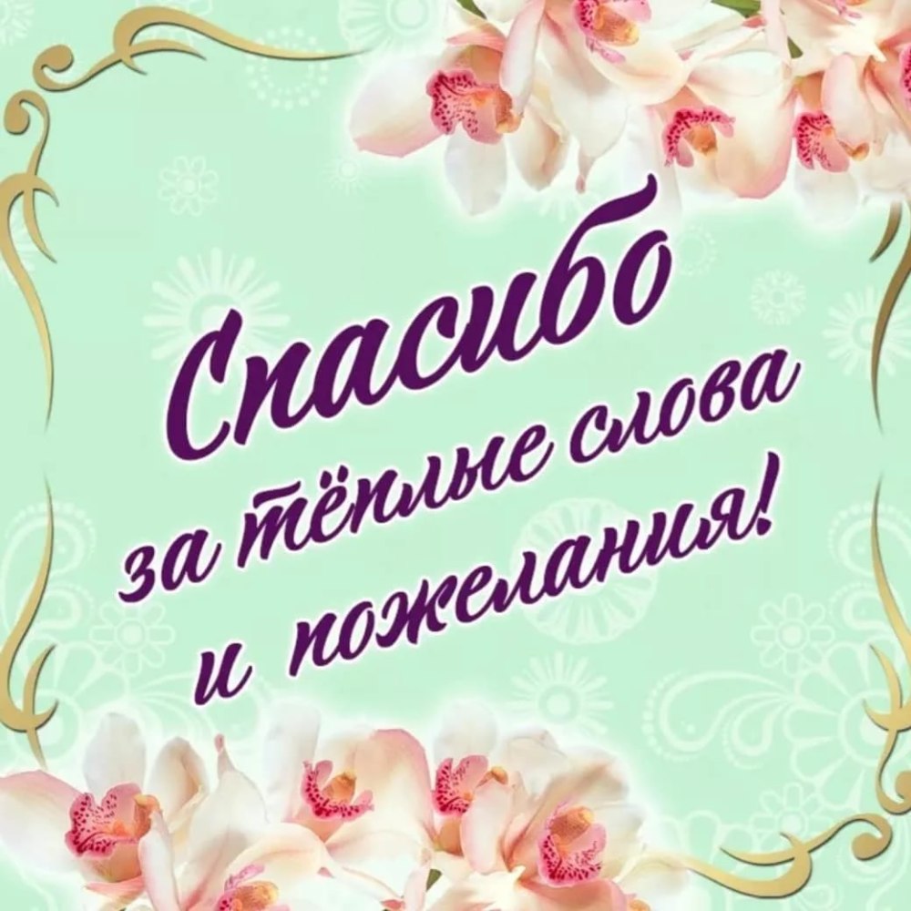 Спасибо запоздравлкния