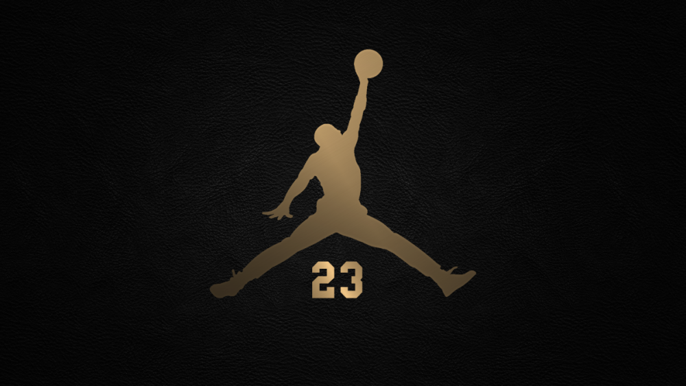 Air Jordan 23 logo