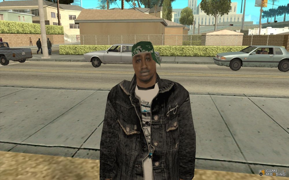 GTA San Andreas главный герой