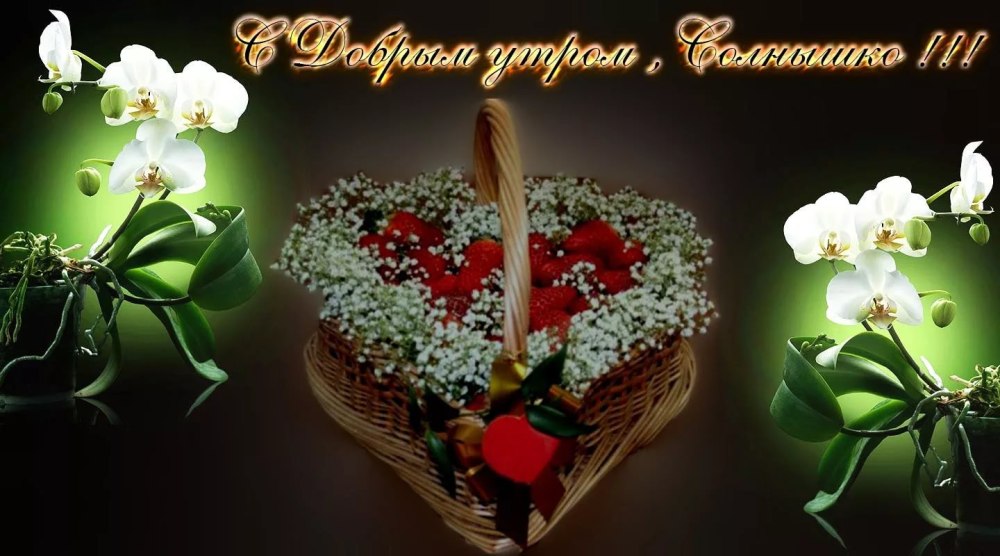 Чудесные цветы