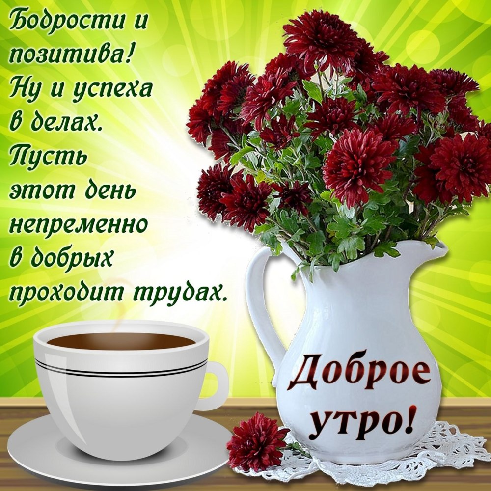 Красивые утренние цветы