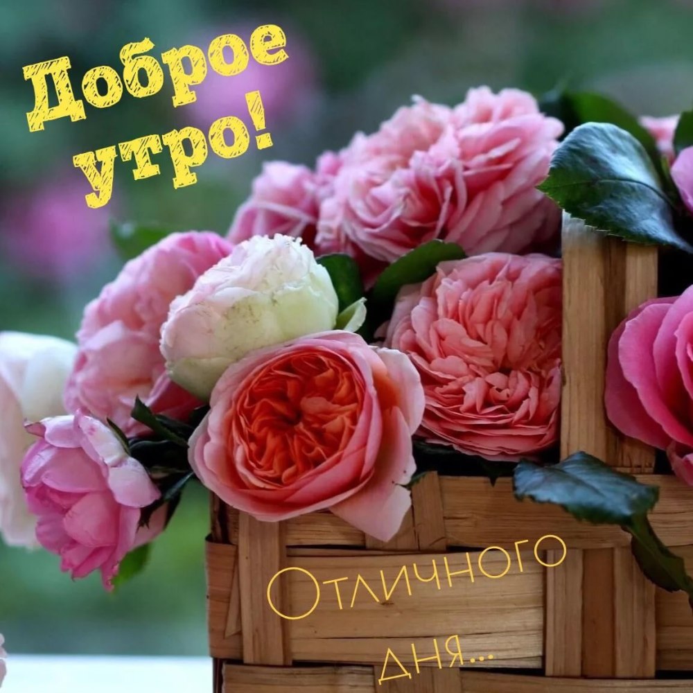 Открытки доброе утро