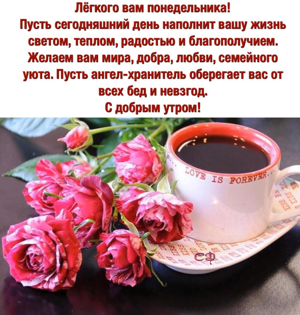 Утренние цветы