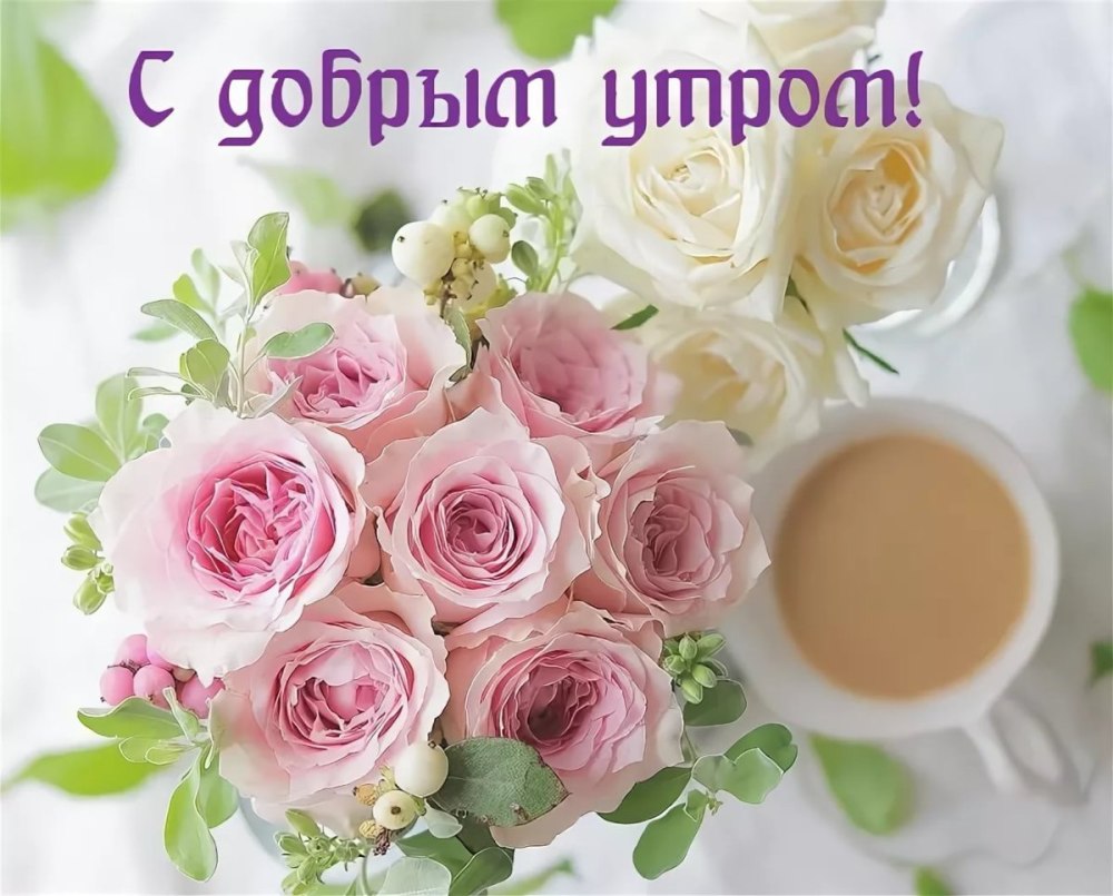 С добрым утром цветы красивые