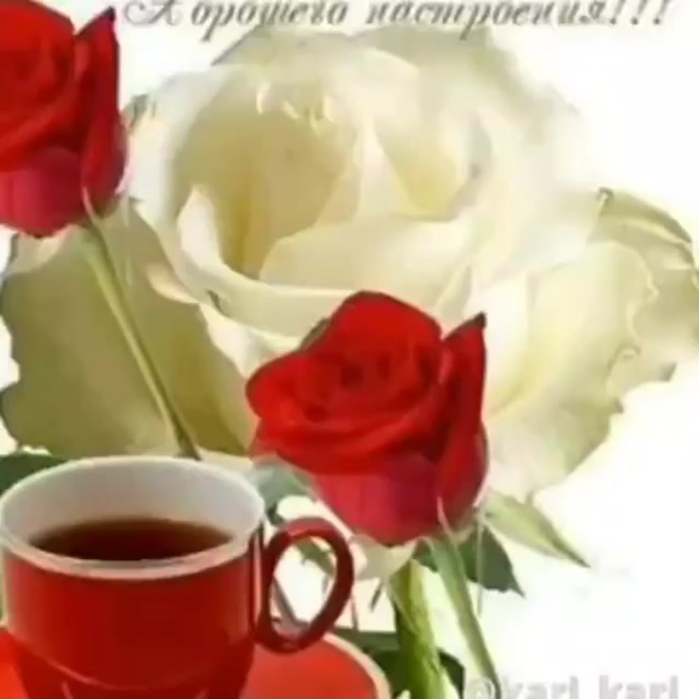 Открытки с добрым утром