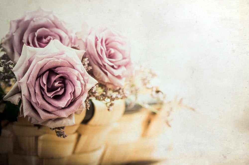 Открытка Happy Birthday