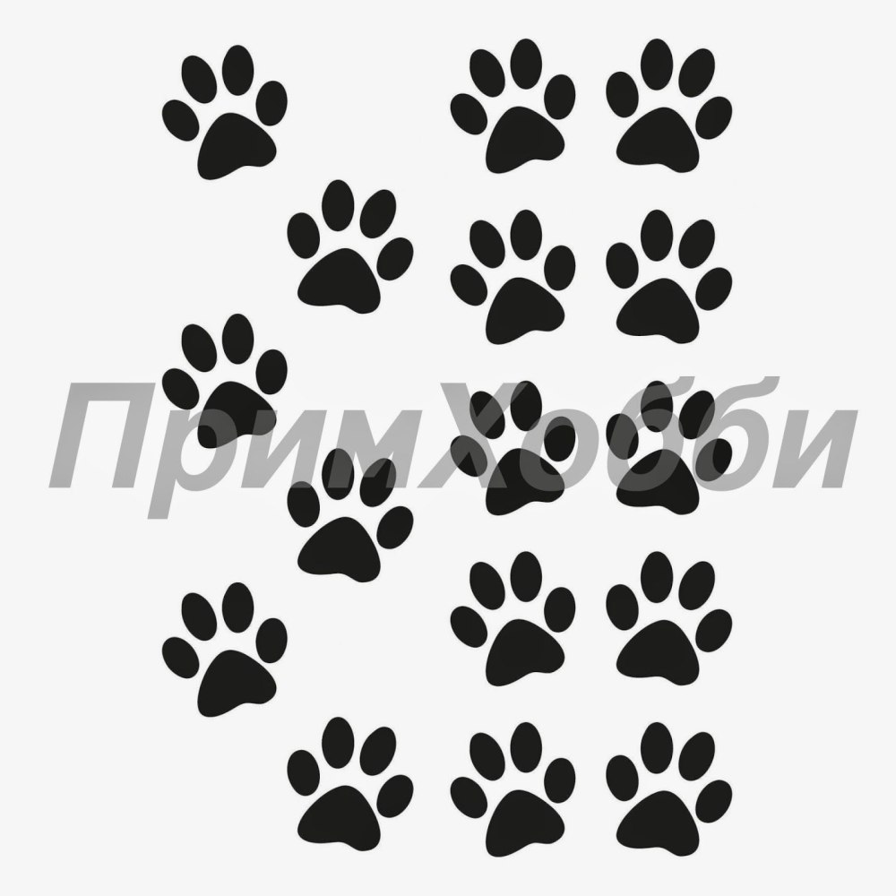 Следы собаки
