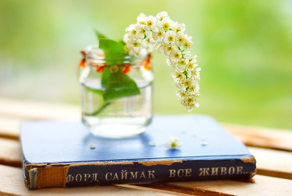 Модные заставки на компьютер
