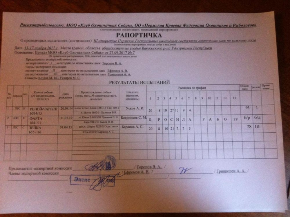 Рапортичка в школе