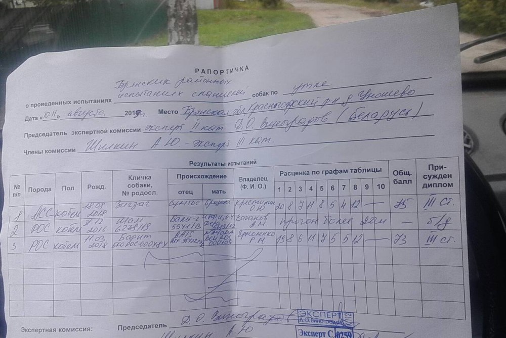 Рапортичка в школе образец