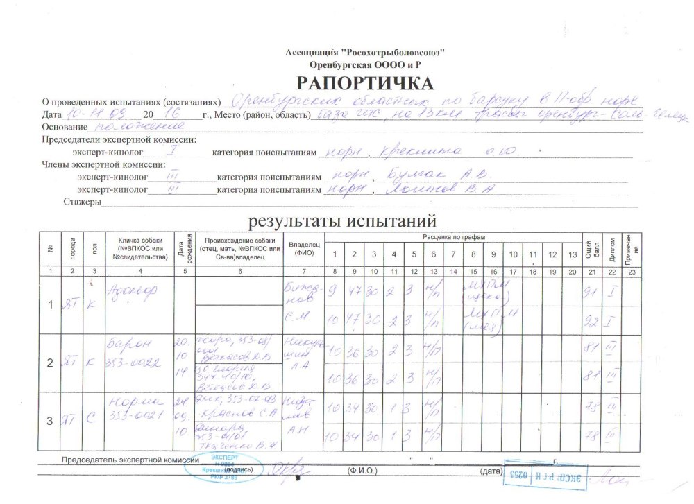 Рапортичка Школьная