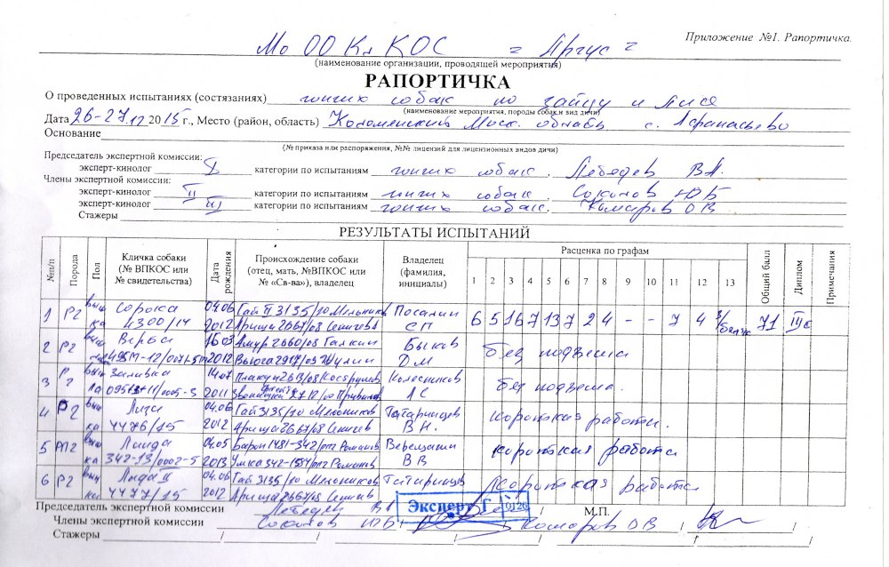 Рапортичка в школе
