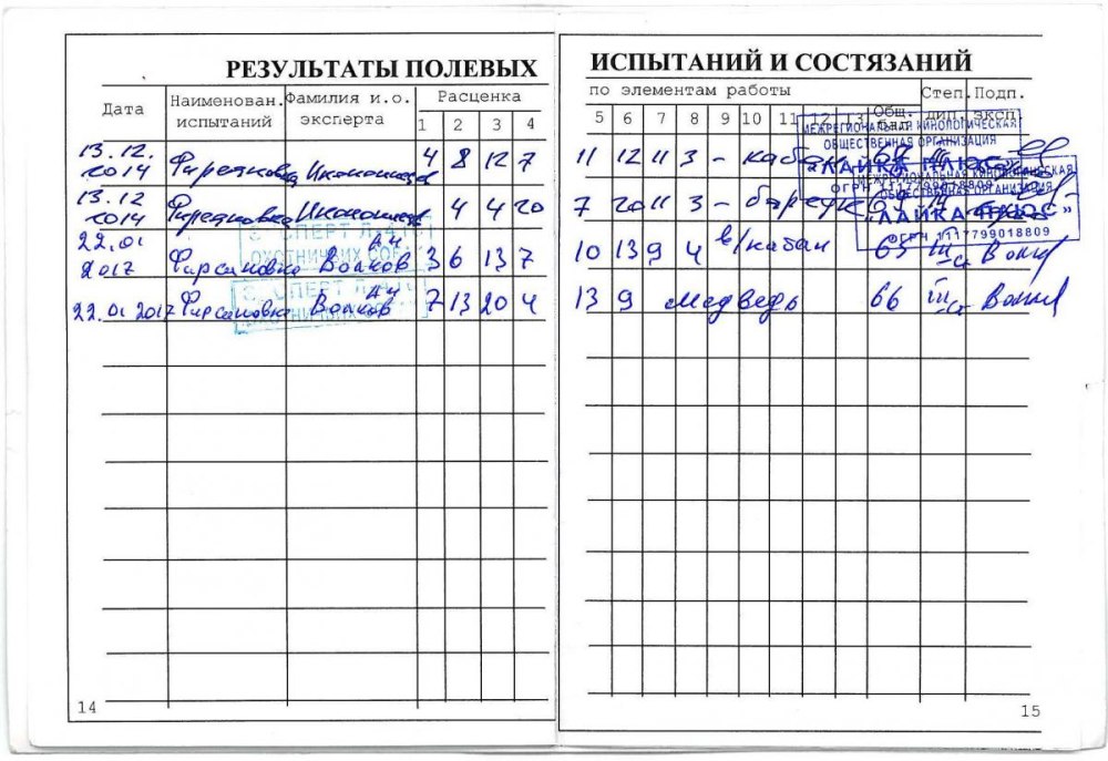 Журнал логопедических занятий