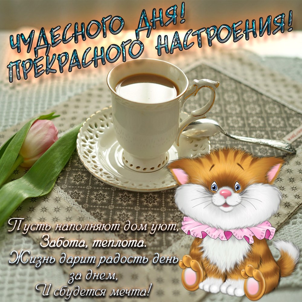 Открытки отличного настроения