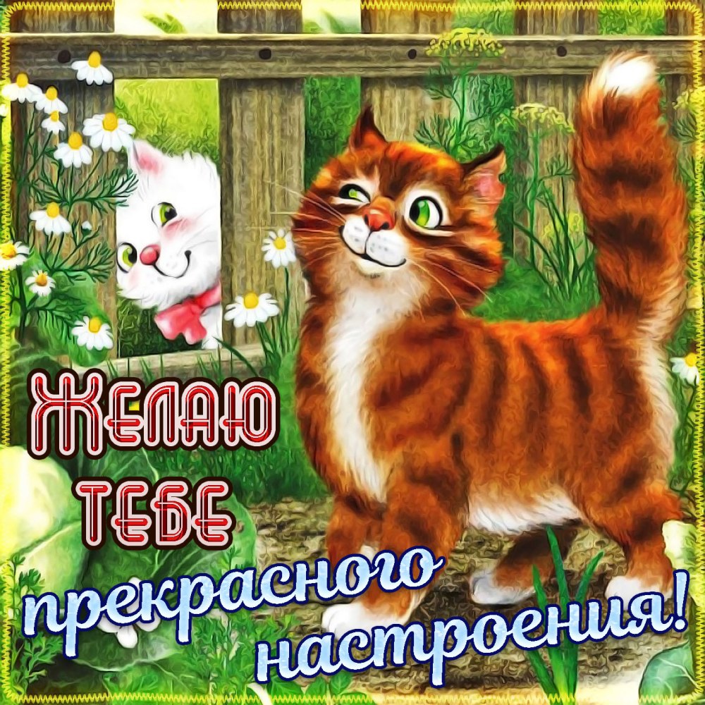 День Радужного настроения