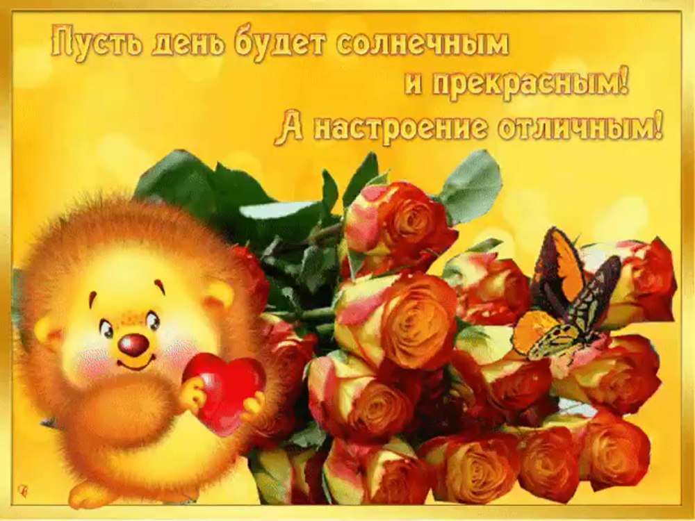 Букет ромашек с добрыми пожеланиями