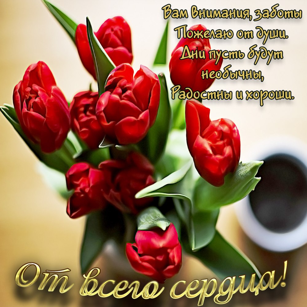 Веселые открытки