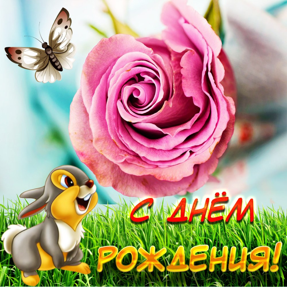 Запись звуков птиц