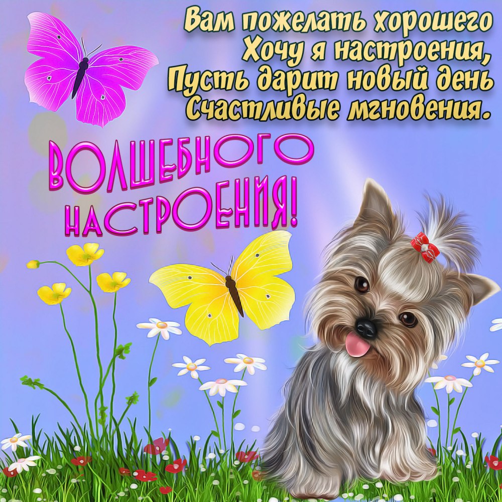 Открытки с пожеланиями хорошего дня