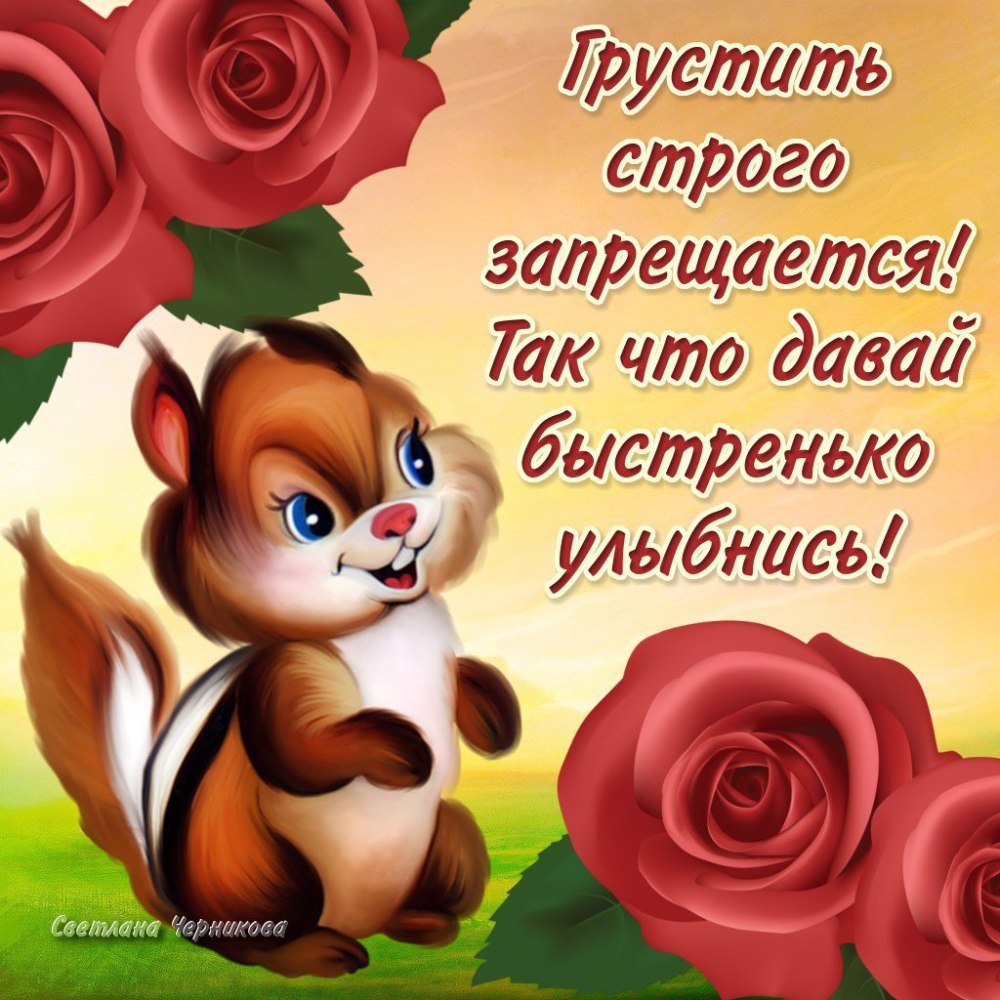 Забавная картинка приветствия