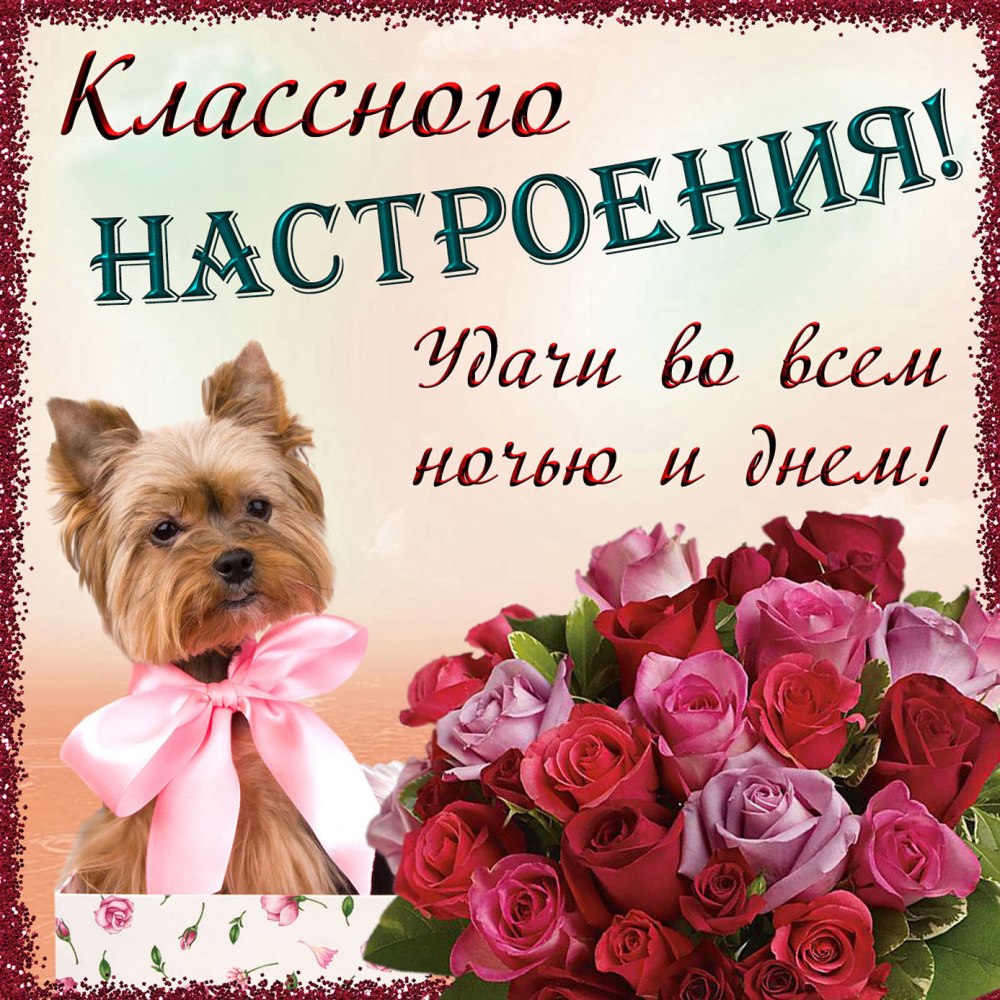 Открытки отличного настроения