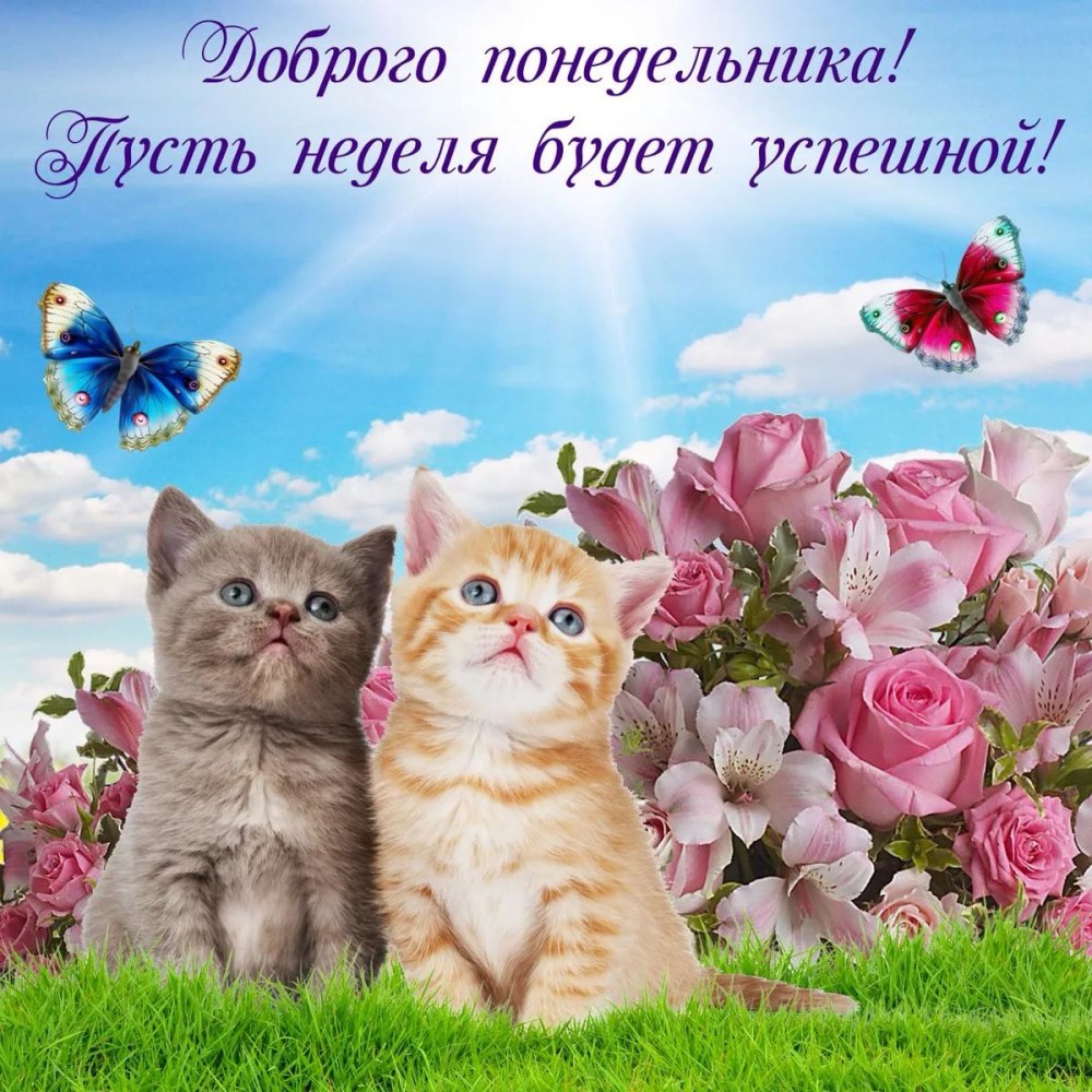 Картинки с оптимистичными пожеланиями