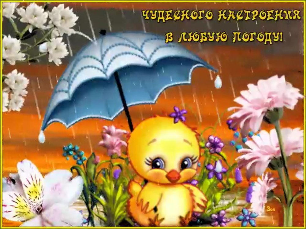 Доброго солнечного дня