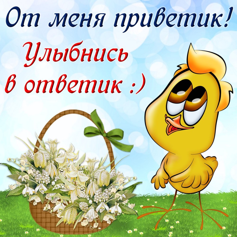 Веселые открытки