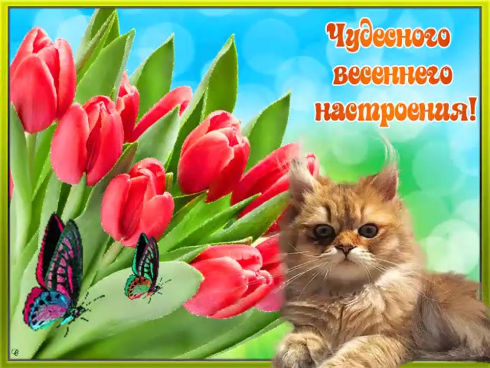Открытка "хорошего настроения"