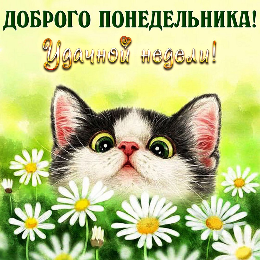 Доброе солнечное утро