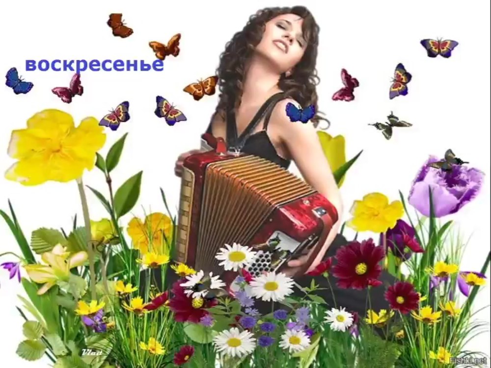 Открытки привет