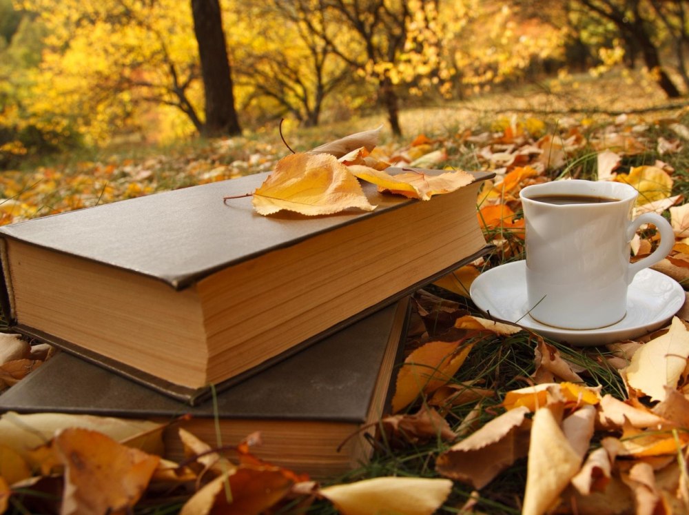 Красивые раскладки с книгами