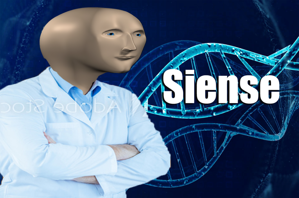 Stone Мем