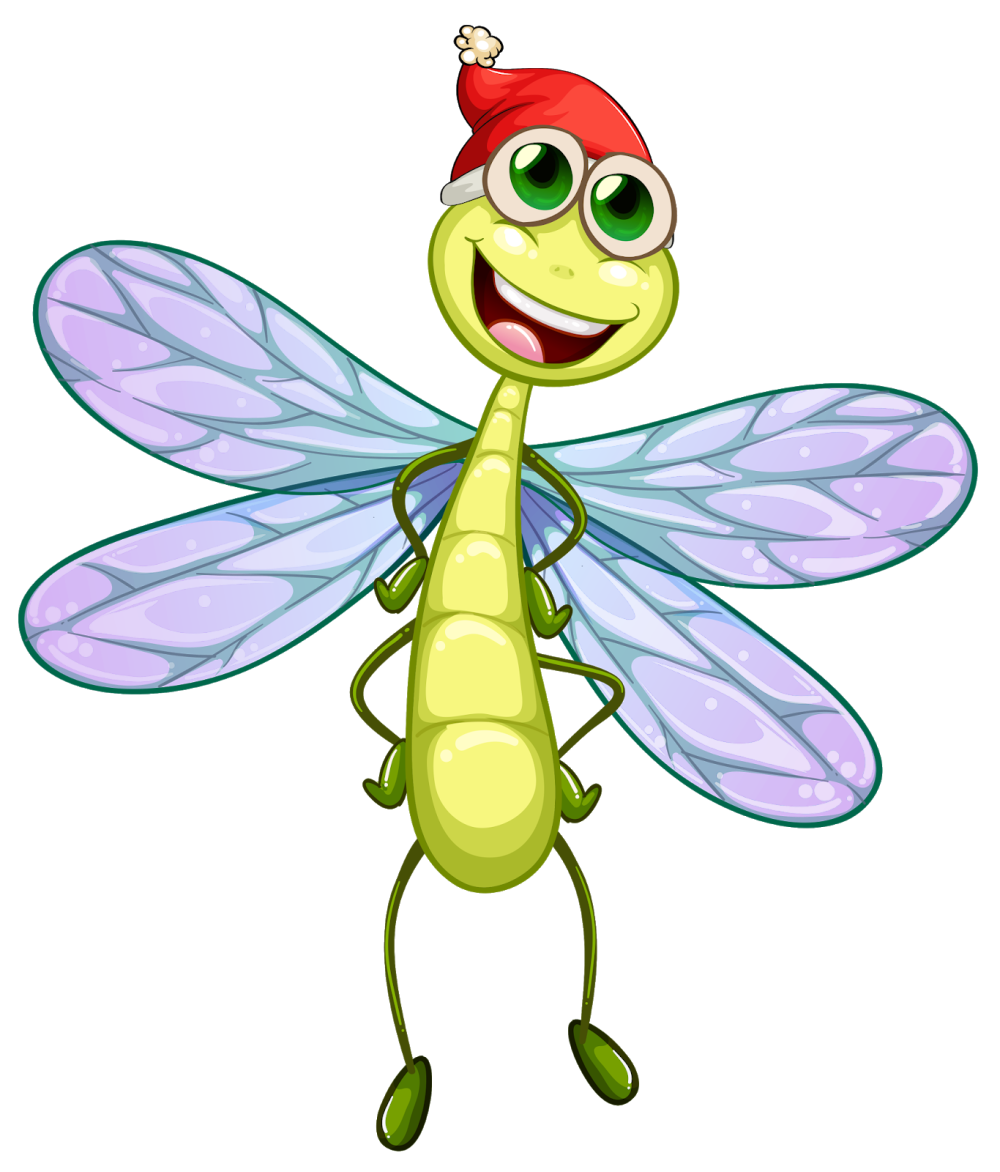 Anax Imperator Leach, 1815
