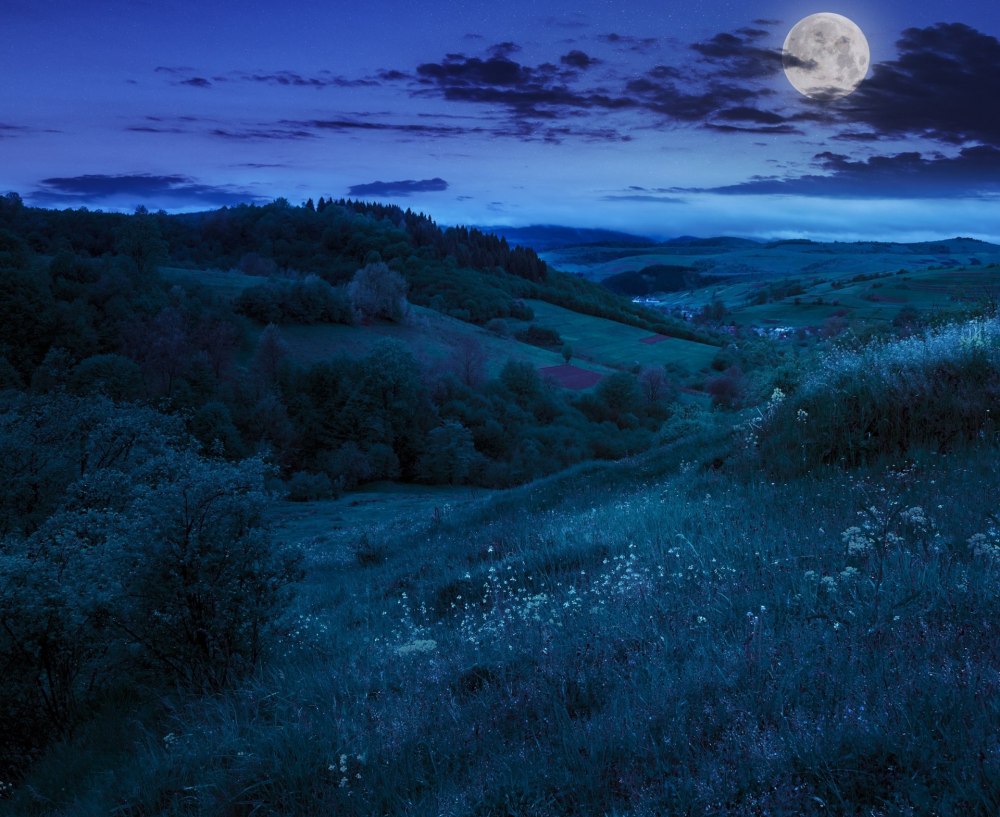 Сумерки природа