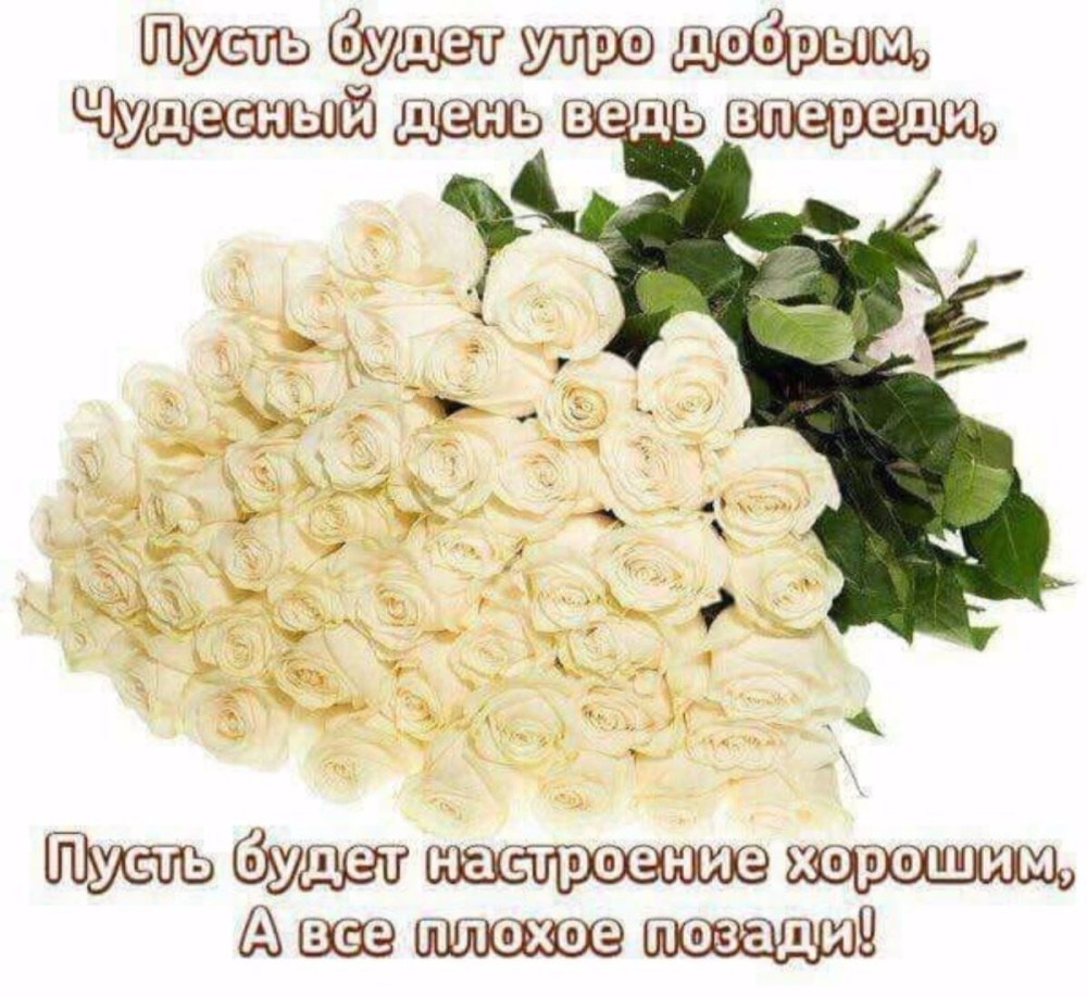 Кофе и роза