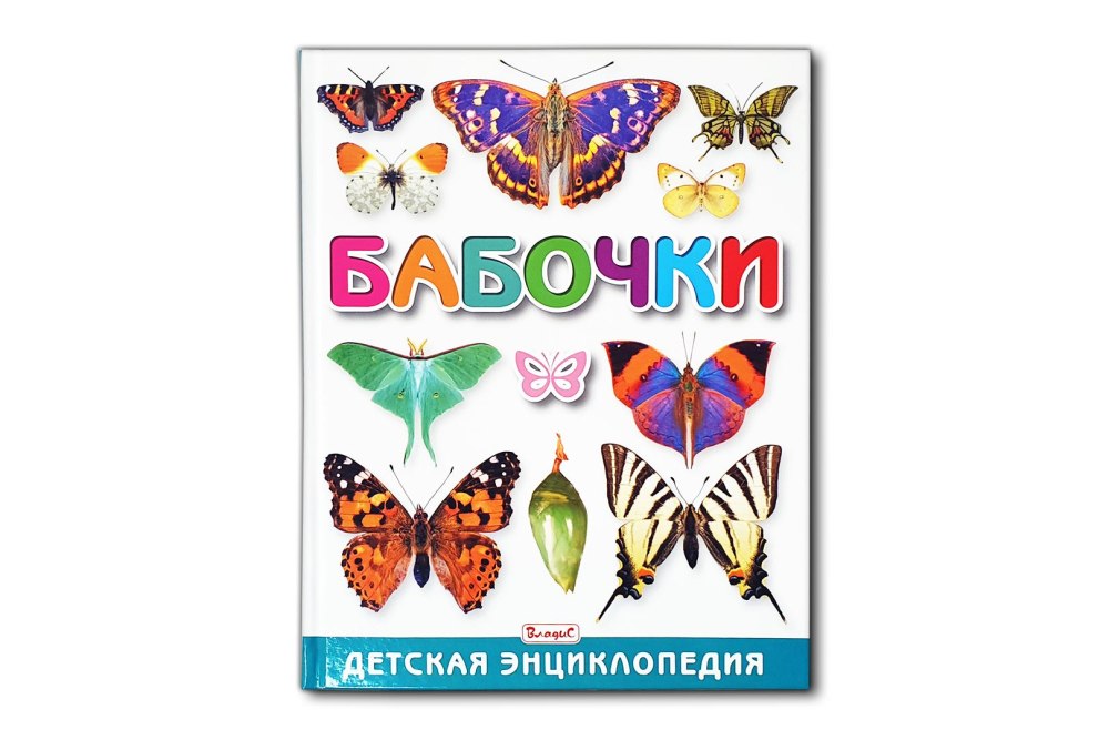 Бабочки для стенда