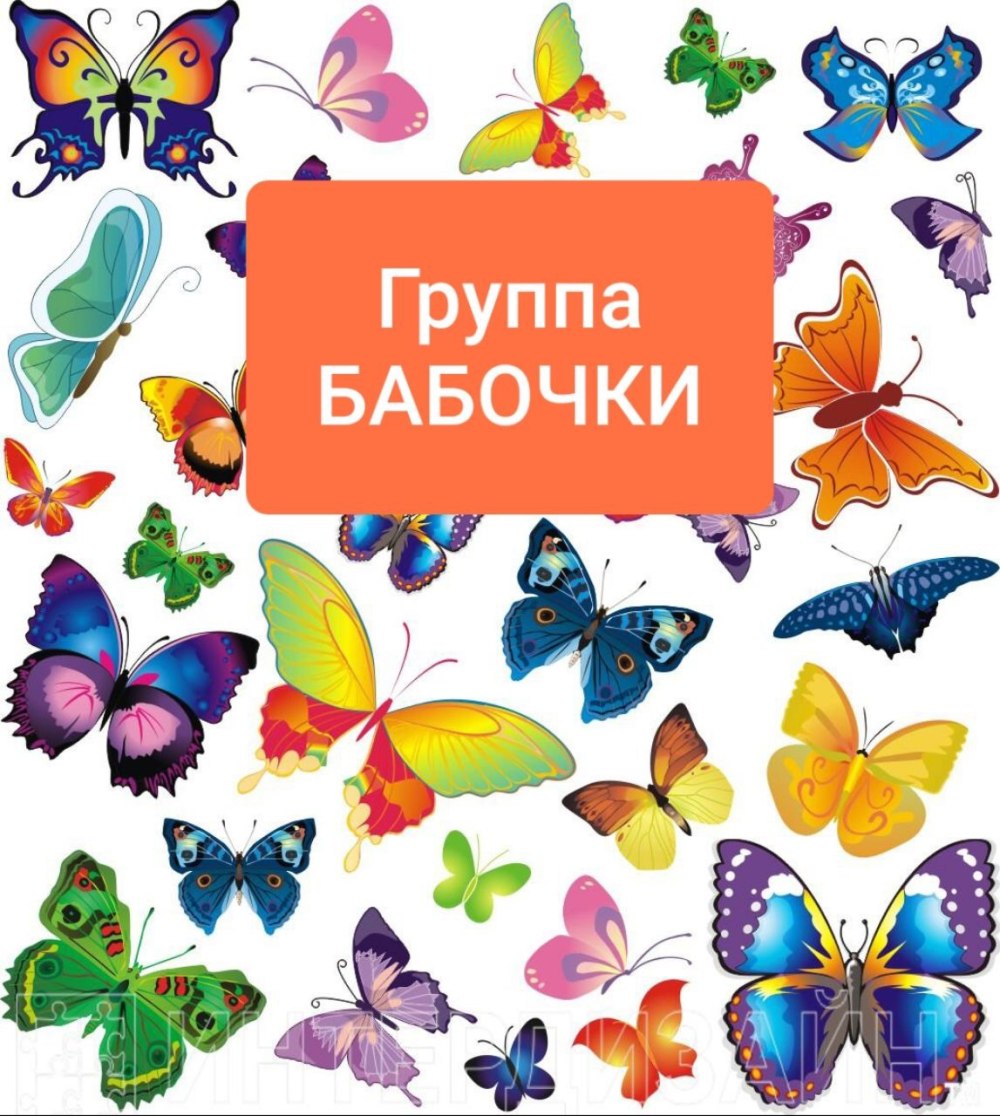 Разноцветные бабочки на белом фоне