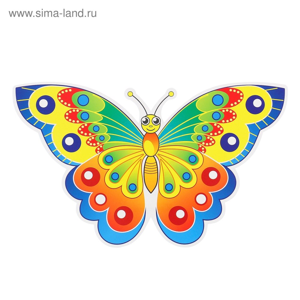 Мультяшные цветные бабочки