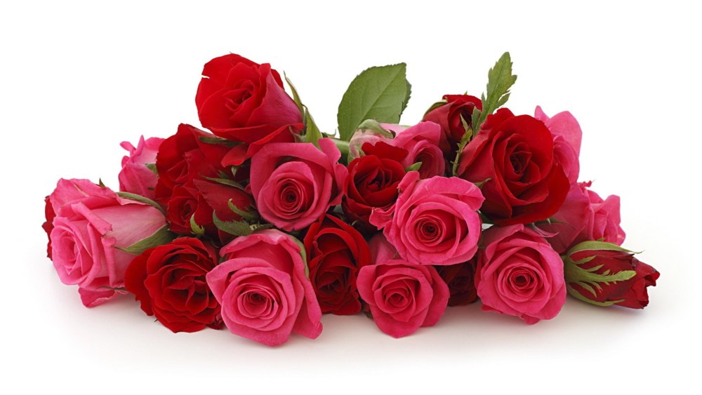 Sympathy Bouquets cheap